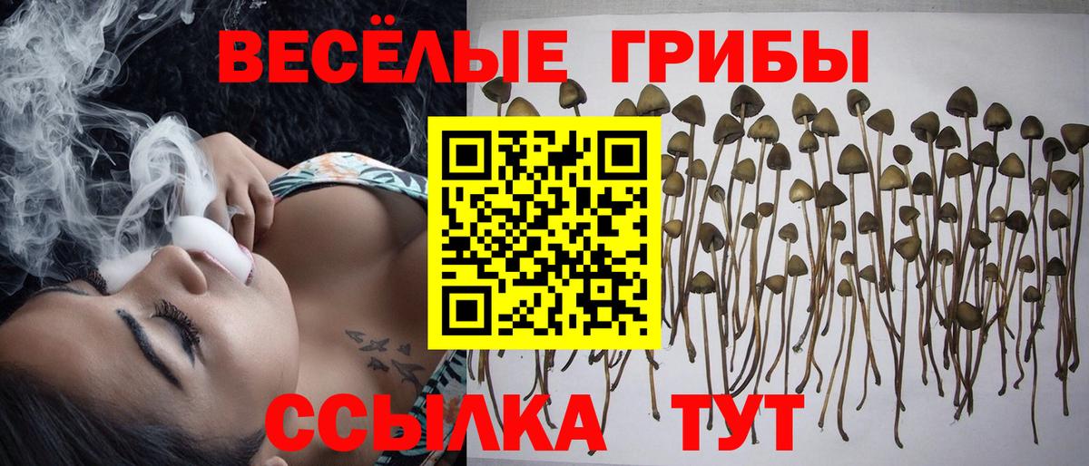Галлюциногенные грибы Magic Shrooms  Вход с VPN  Люберцы 